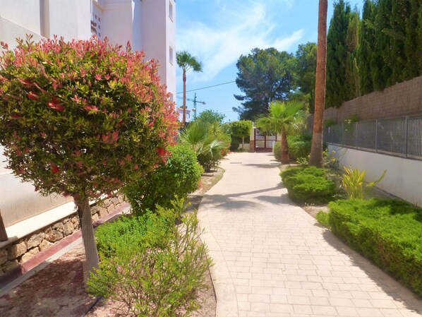 Parco della struttura