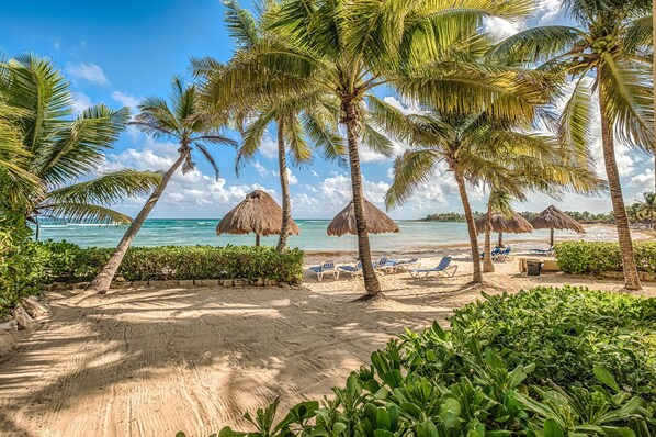 A beach with palm trees, thatched umbrellas, and sun loungers.