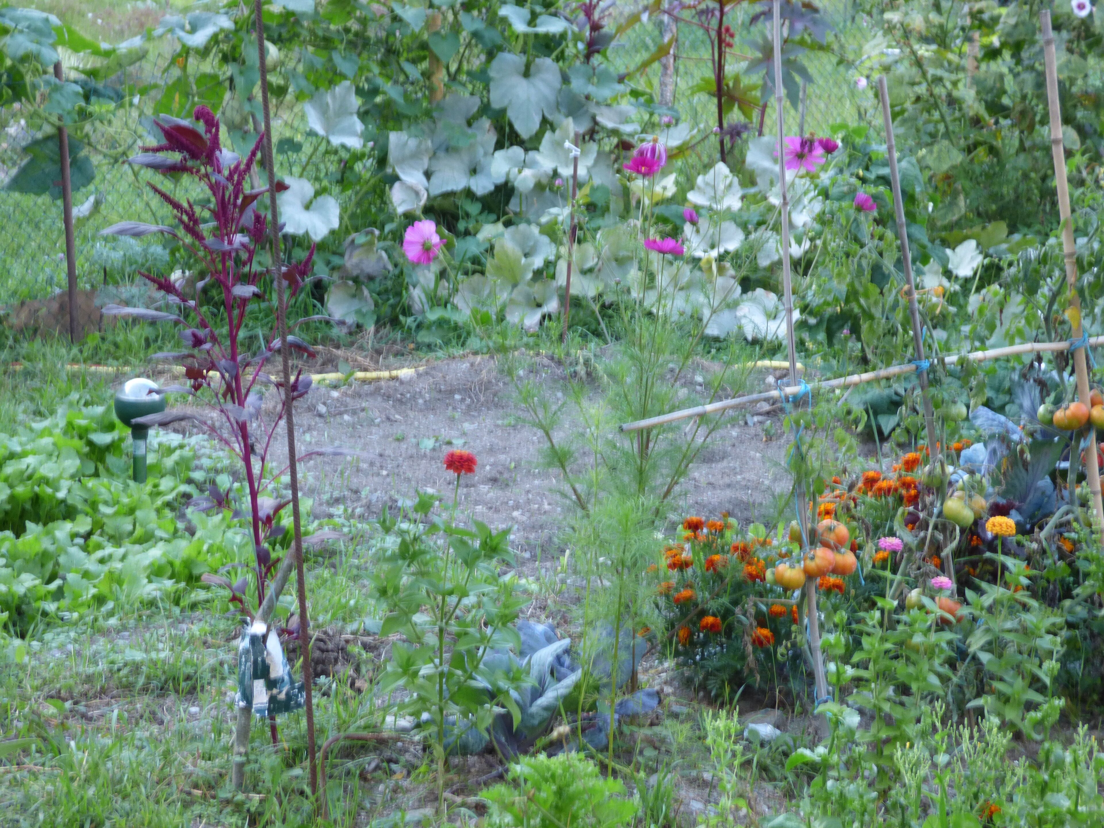 Ein Garten mit verschiedenen Pflanzen und Blumen, darunter rote und orangefarbene Blüten, sowie eine kleine Struktur mit einem grünen Dach.