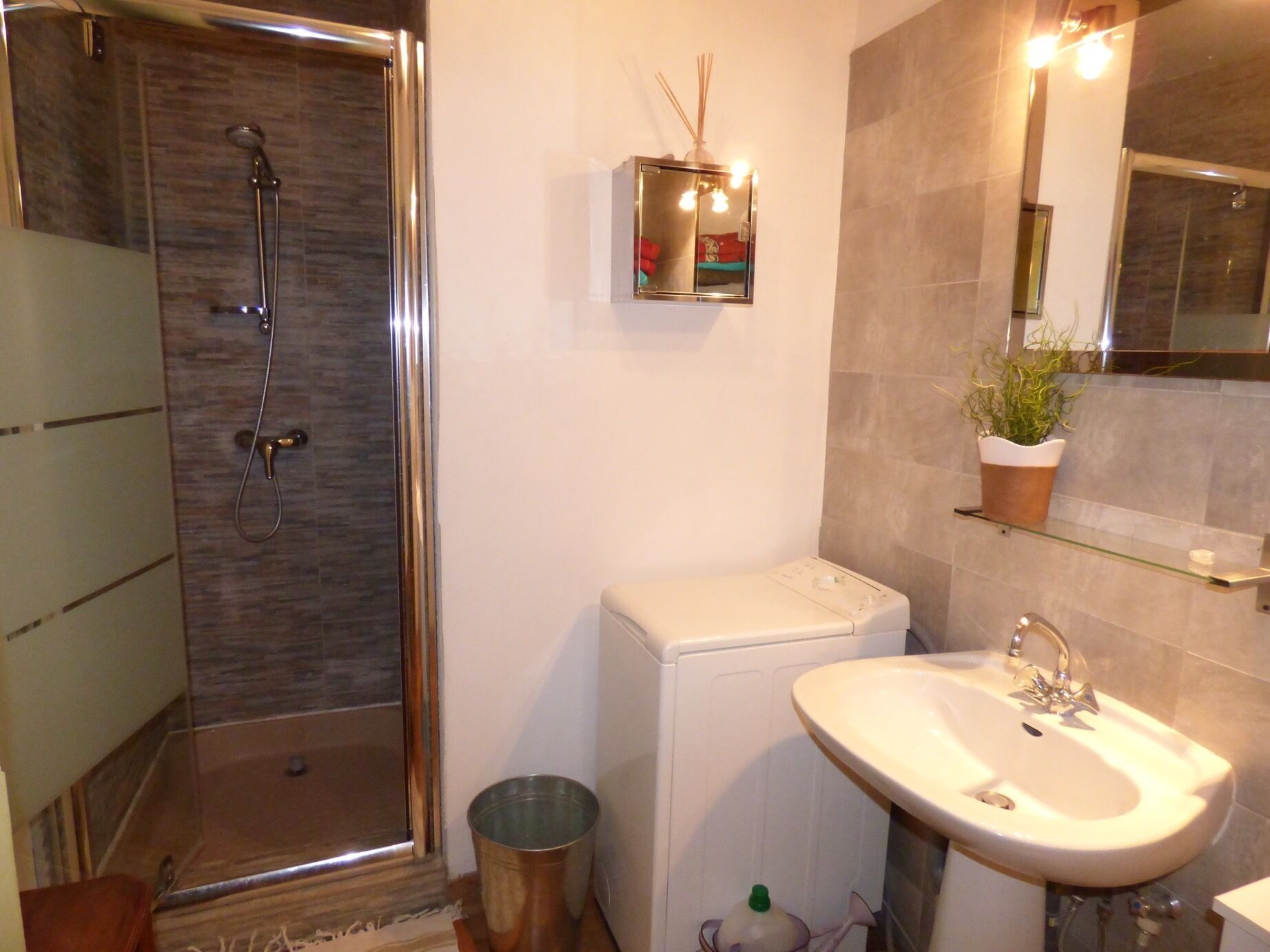 A modern bathroom with a glass shower enclosure, a white sink, and a small potted plant on a shelf.