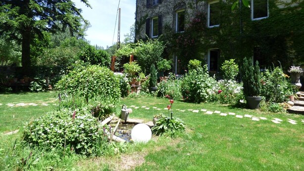 Un exuberante jardín con diversas plantas y un pequeño estanque.