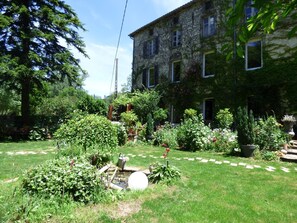 Un jardin luxuriant, avec une grande variété de plantes et un petit étang.