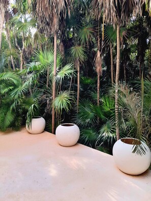 Property grounds - PRIVET BEACH ACCESS VILLA BESO (Tulum)