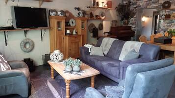 Télévision, cheminée, lecteur de DVD, livres