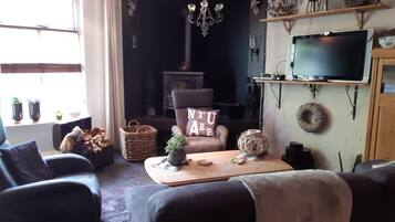 Télévision, cheminée, lecteur de DVD, livres