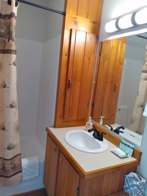 Combined shower/bathtub, hair dryer, towels, soap - Private & Secluded w/ Beautiful Views Sunsets ~Hot Tub (Gatlinburg)