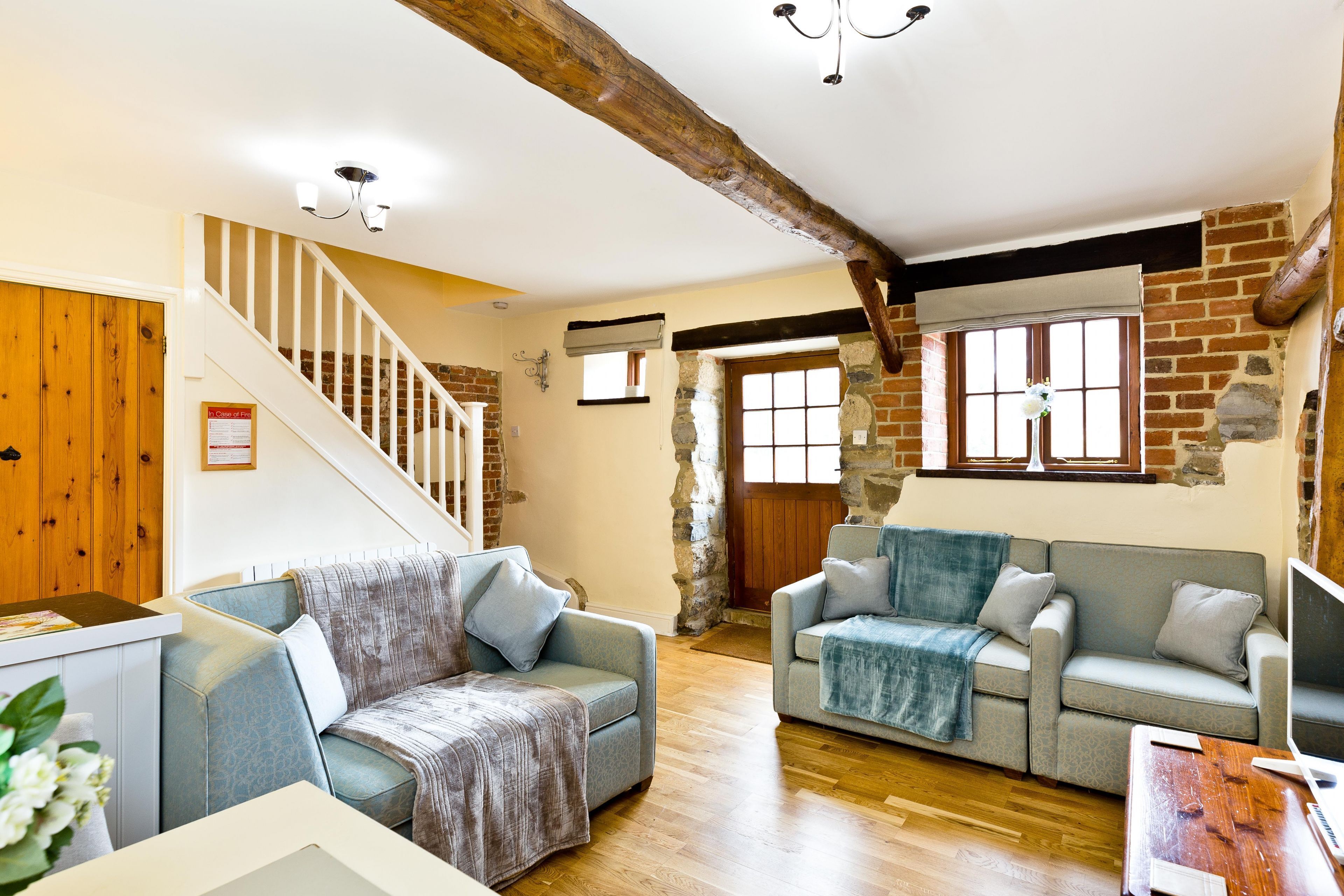 TV, mesa de pingue-pongue