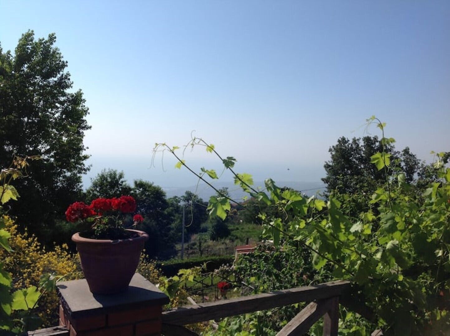 Parco della struttura