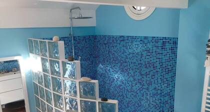 Nice renovated studio between Paris and Disneyland