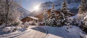 ❤️Chalet Dolphin. new ❤️