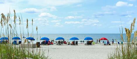 Beach nearby