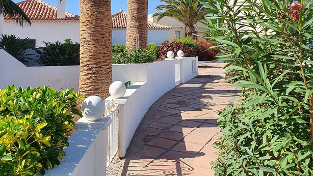A pathway lined with palm trees and a white wall, leading to a building with a tiled roof.