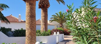 Two-Bedroom Ocean-View Apartment in Amarilla Golf
