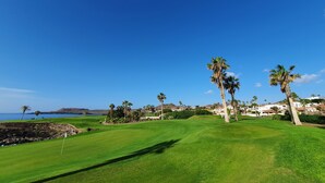 A golf course with a clear view of the ocean and a few palm trees.