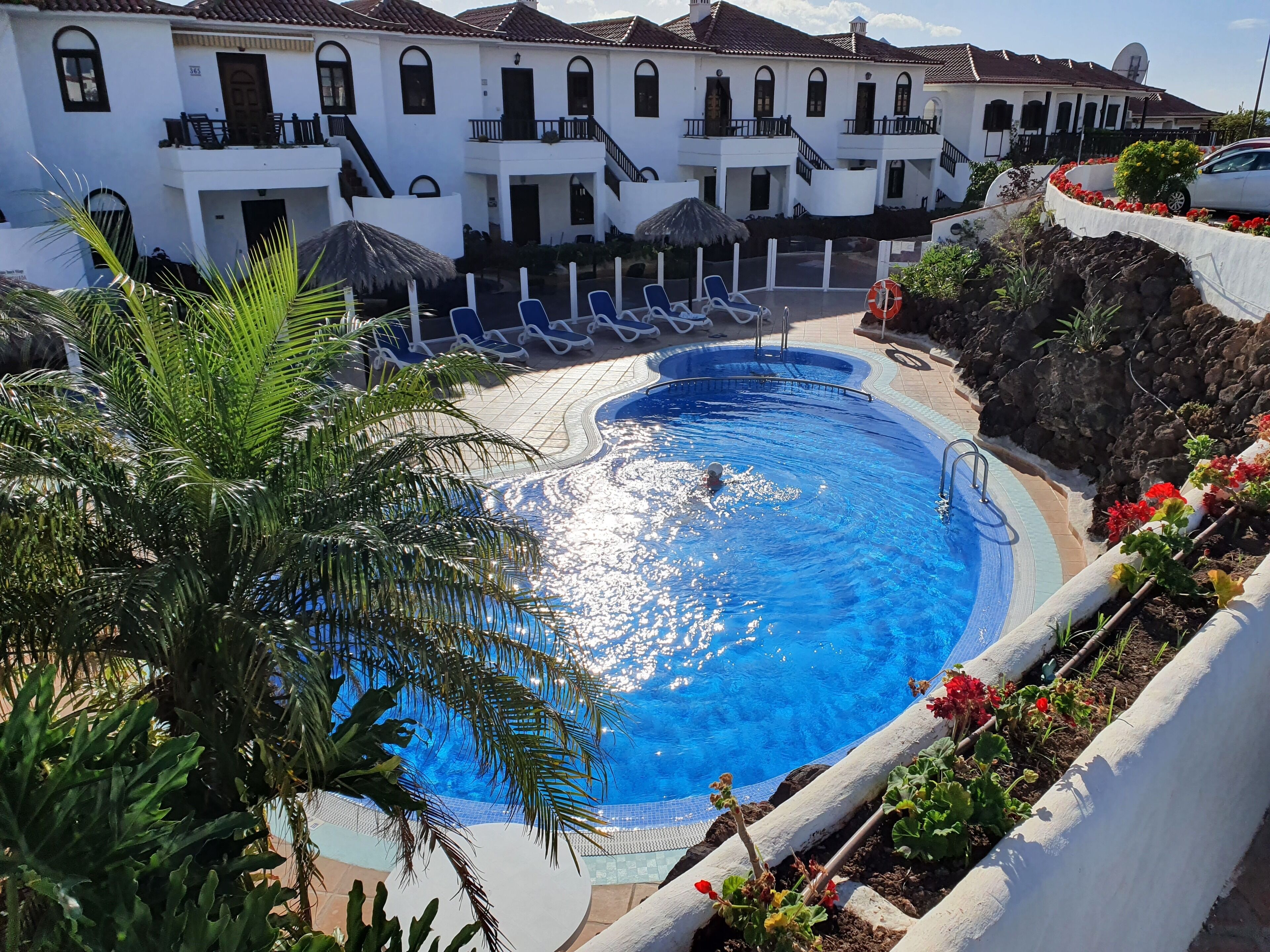 A swimming pool with lounge chairs, surrounded by a white building with balconies, and tropical plants.