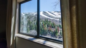 Individually decorated, individually furnished - Storm Meadows at Christie Base by Mountain Resorts (Steamboat Springs)