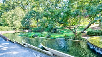 Jardines del alojamiento