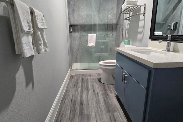 Premium Studio Suite | Bathroom | Shower, hair dryer, towels