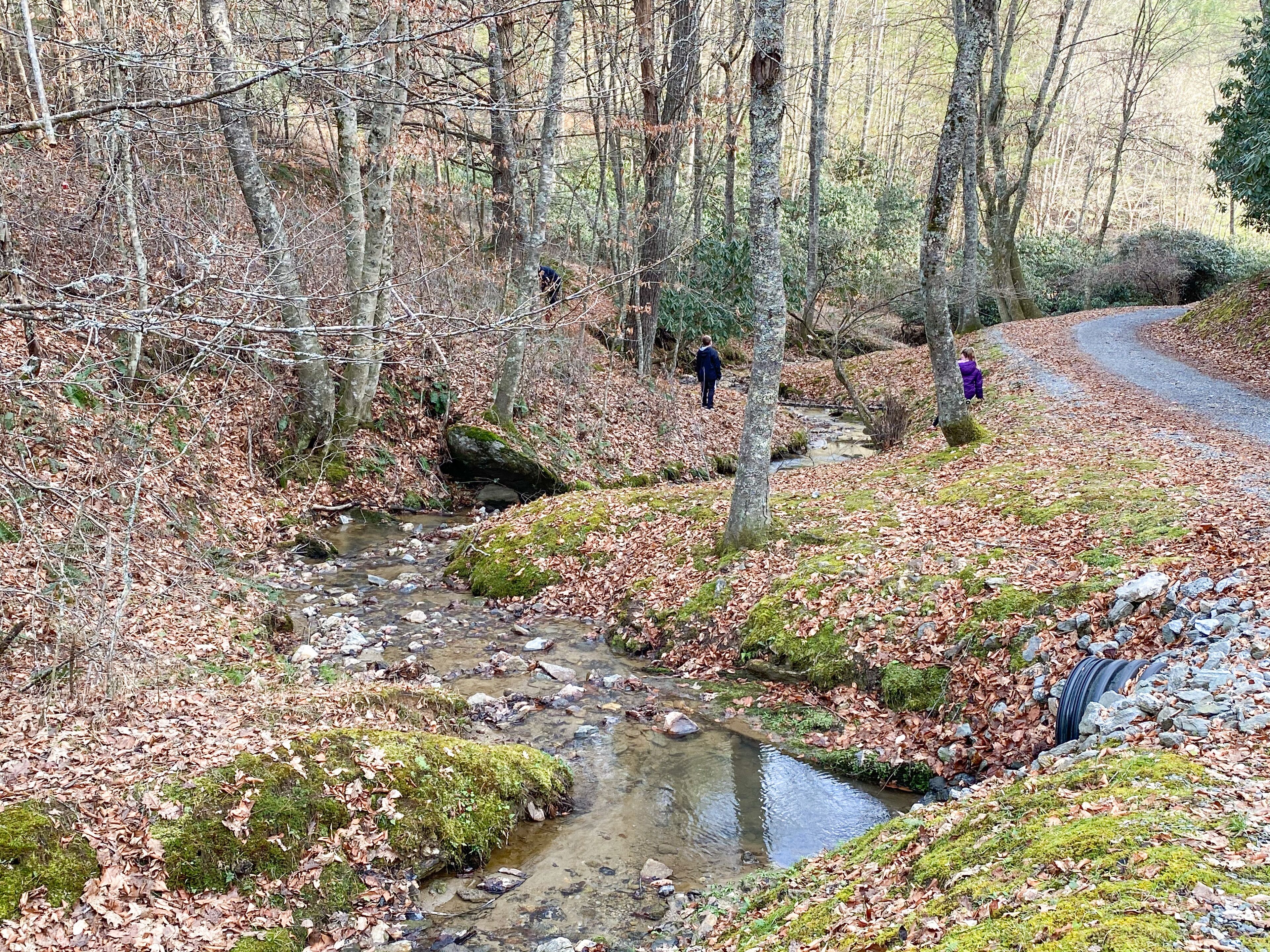 Zona boscosa con un arroyo, un sendero y una persona vestida de púrpura.