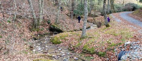 Zona boscosa con un arroyo, un sendero y una persona vestida de púrpura.