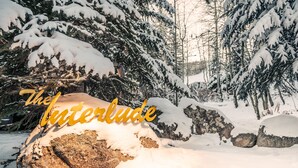 A snowy landscape with a large rock and snow-covered trees. - 🏔️Ski-In, Ski-Out Condo~Hot Tub~Interlude 205🏔️ (Snowmass Village)