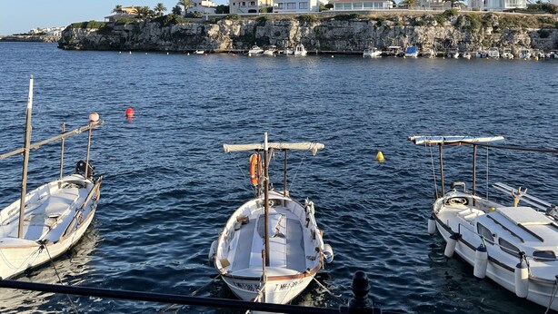 A marina with several boats docked, a rocky coastline, and buildings on a hill in the background.