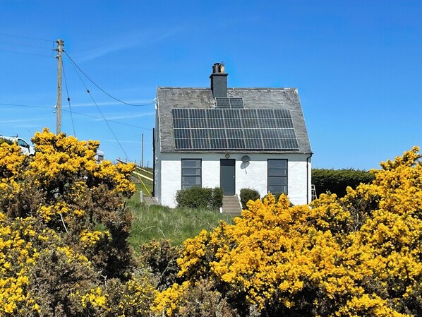 A white house with a grey roof, solar panels, and surrounded by yellow flowering bushes. - Sea View at Lamberton (Berwick-upon-tweed)