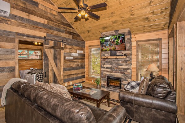 Smart TV, fireplace, DVD player