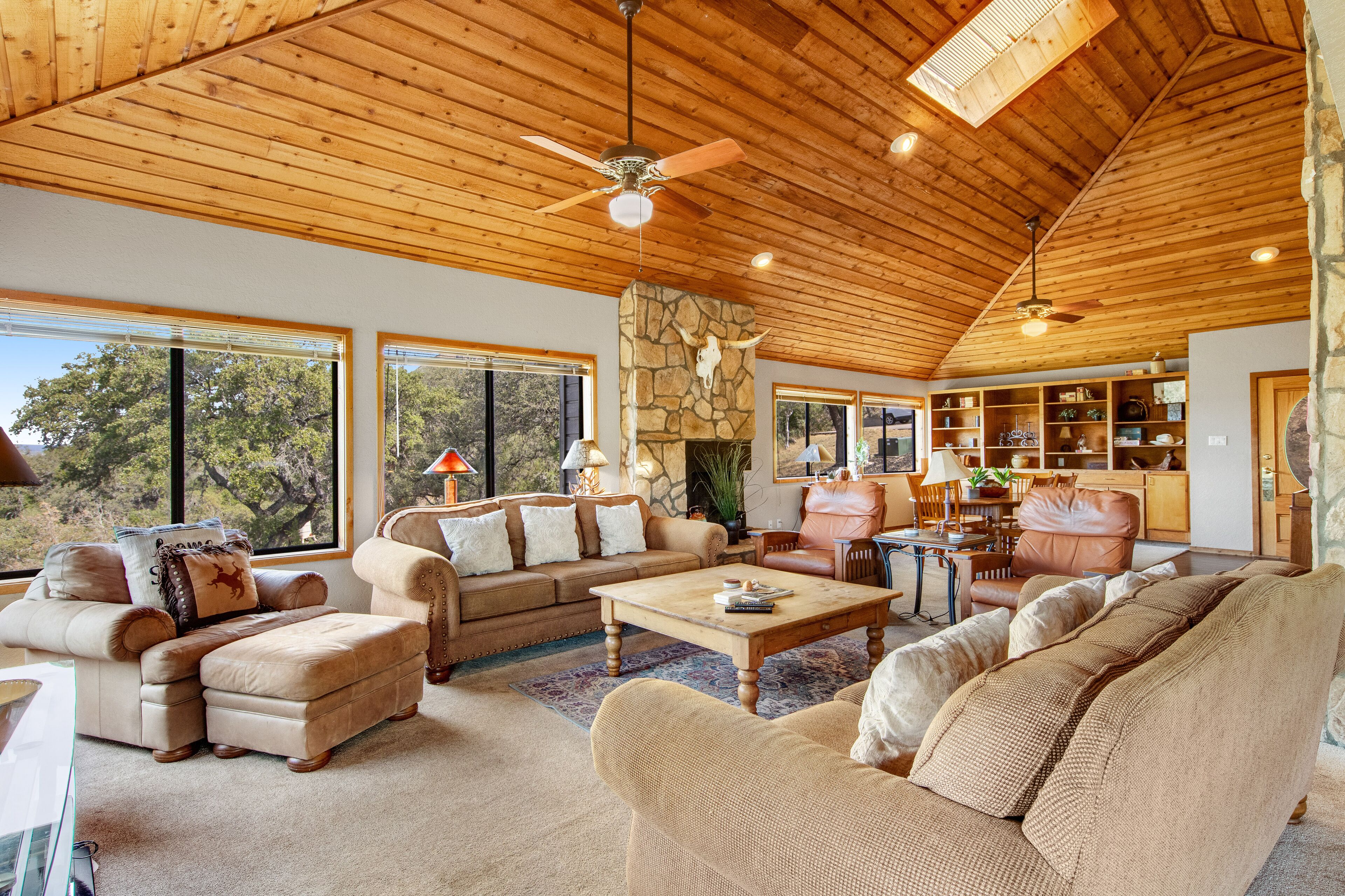 TV, fireplace, video library