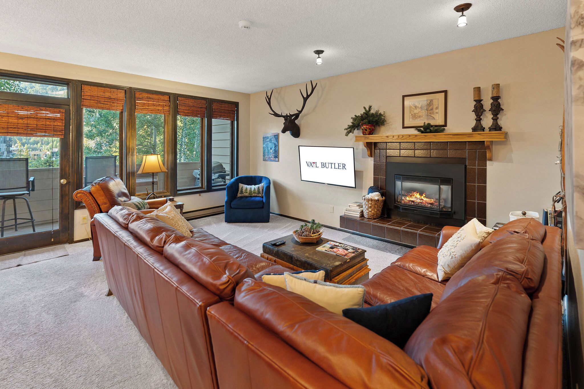 Televisión y chimenea 