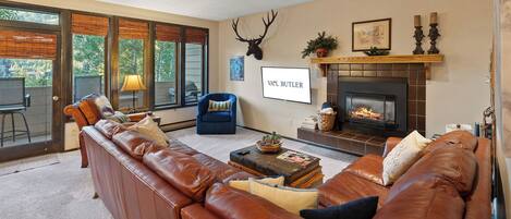 Televisión y chimenea