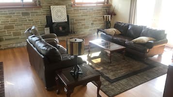Smart TV, chimenea, libros, estéreo