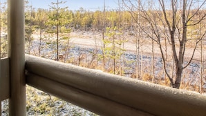 A view from a window with a wooden railing, overlooking a forested area with trees and a dirt path.