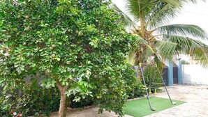 Un árbol con hojas verdes y un columpio en un jardín.