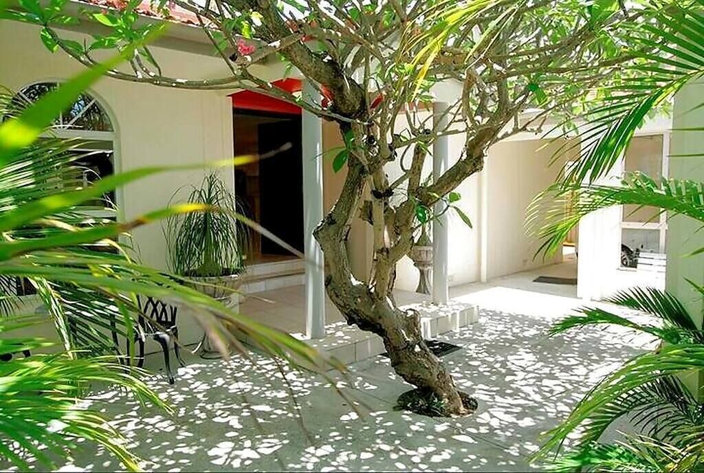 Artist’s Private Recluse - Surfers Paradise