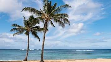 Nära stranden, solstolar och strandhanddukar