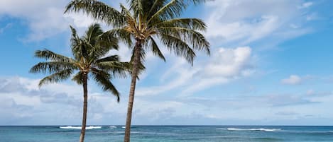 Nära stranden, solstolar och strandhanddukar