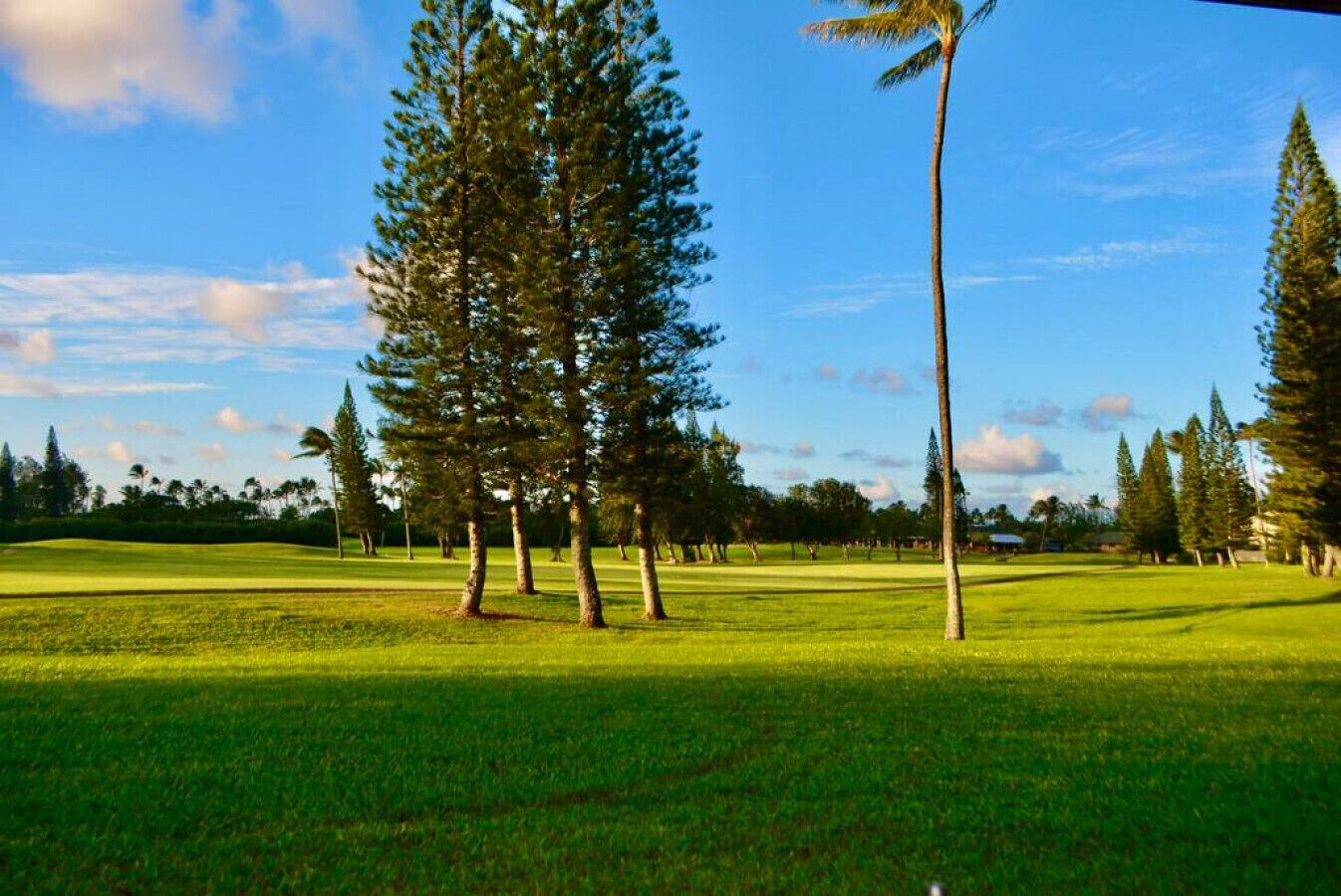 Un parcours de golf avec un ciel dégagé, de l’herbe verte et de grands arbres.