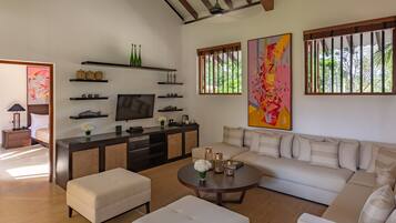 Flat-screen TV, books, music library, stereo