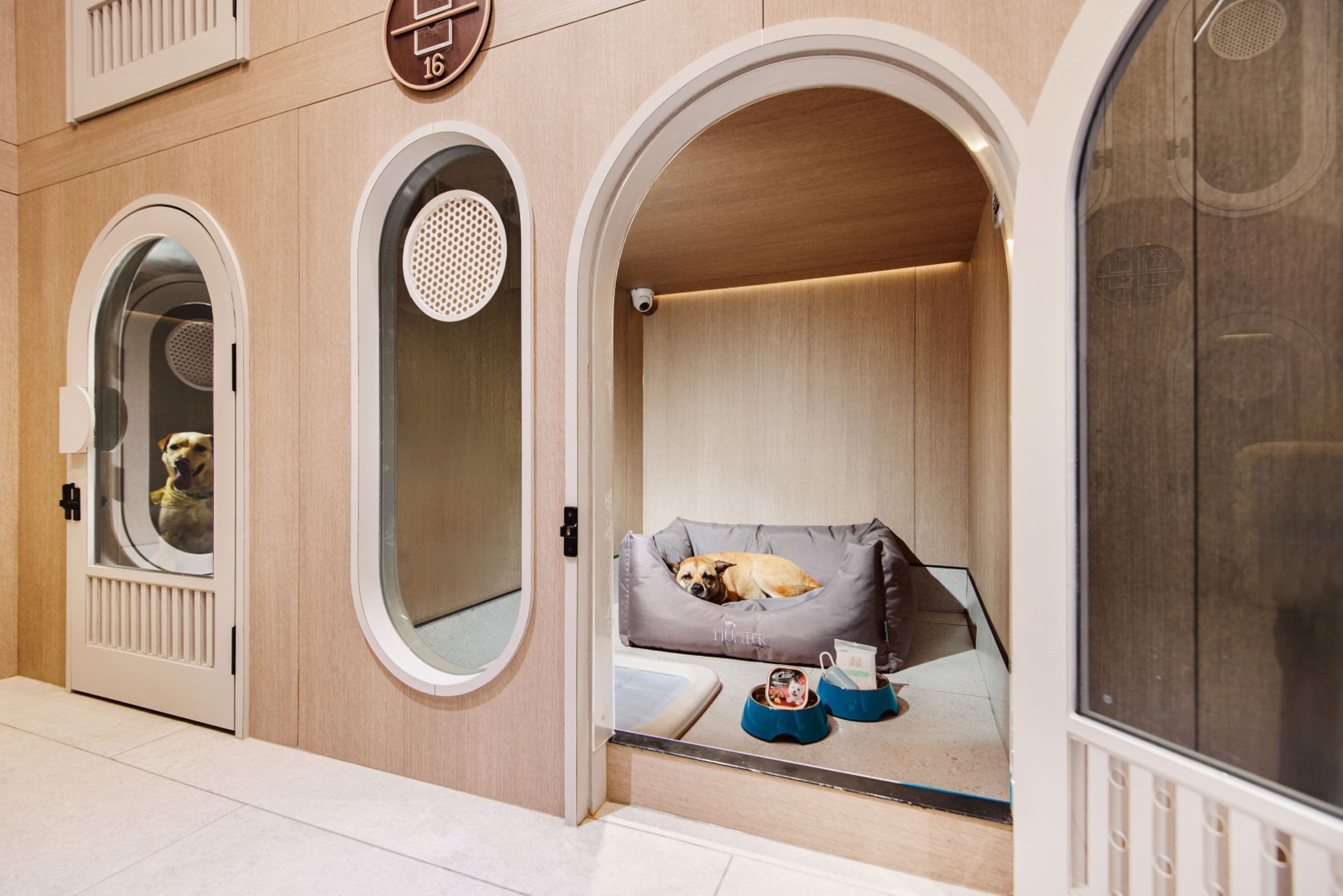 pet-friendly amenities