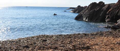 Ranta