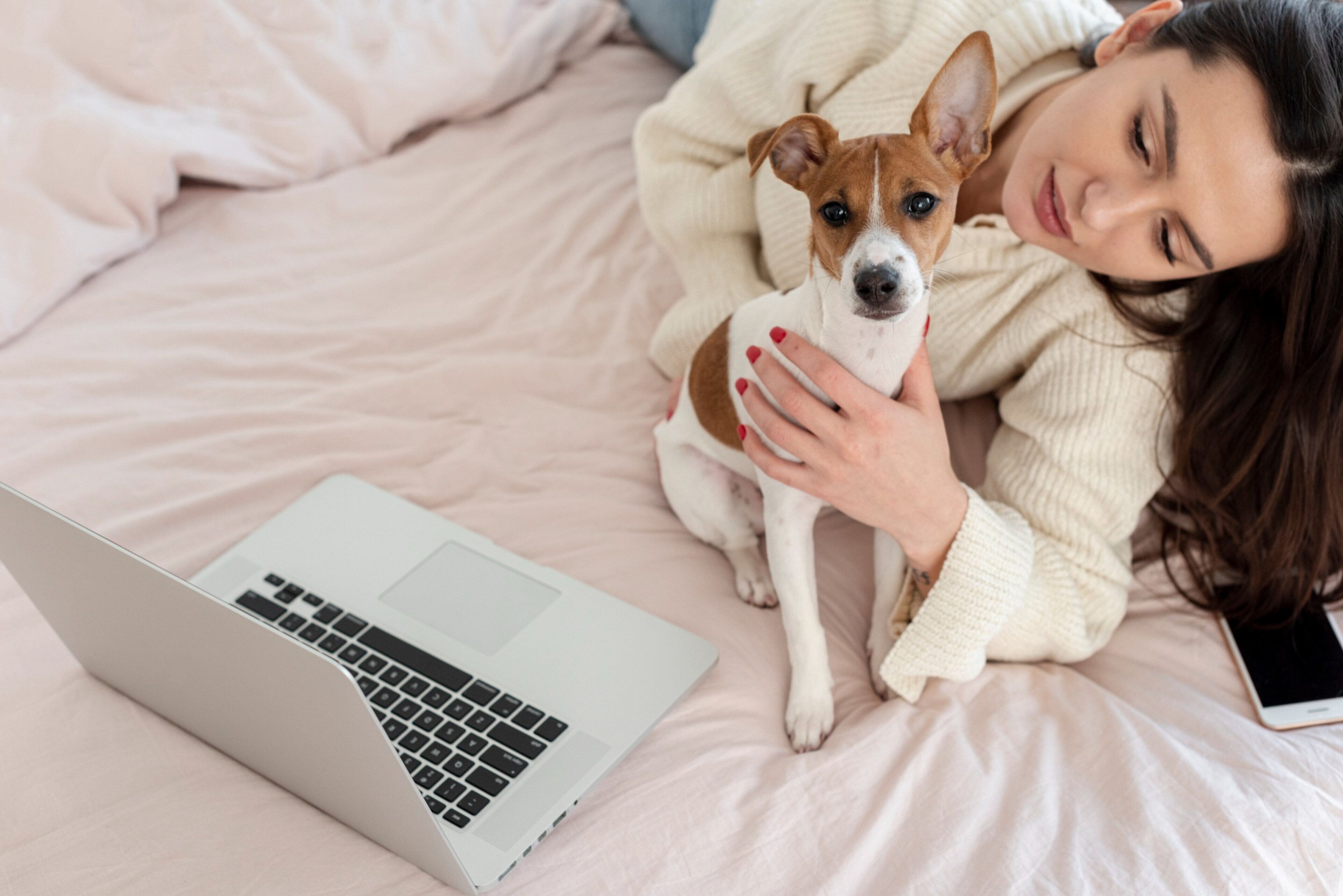 A person lying on a bed with a laptop and a dog.
