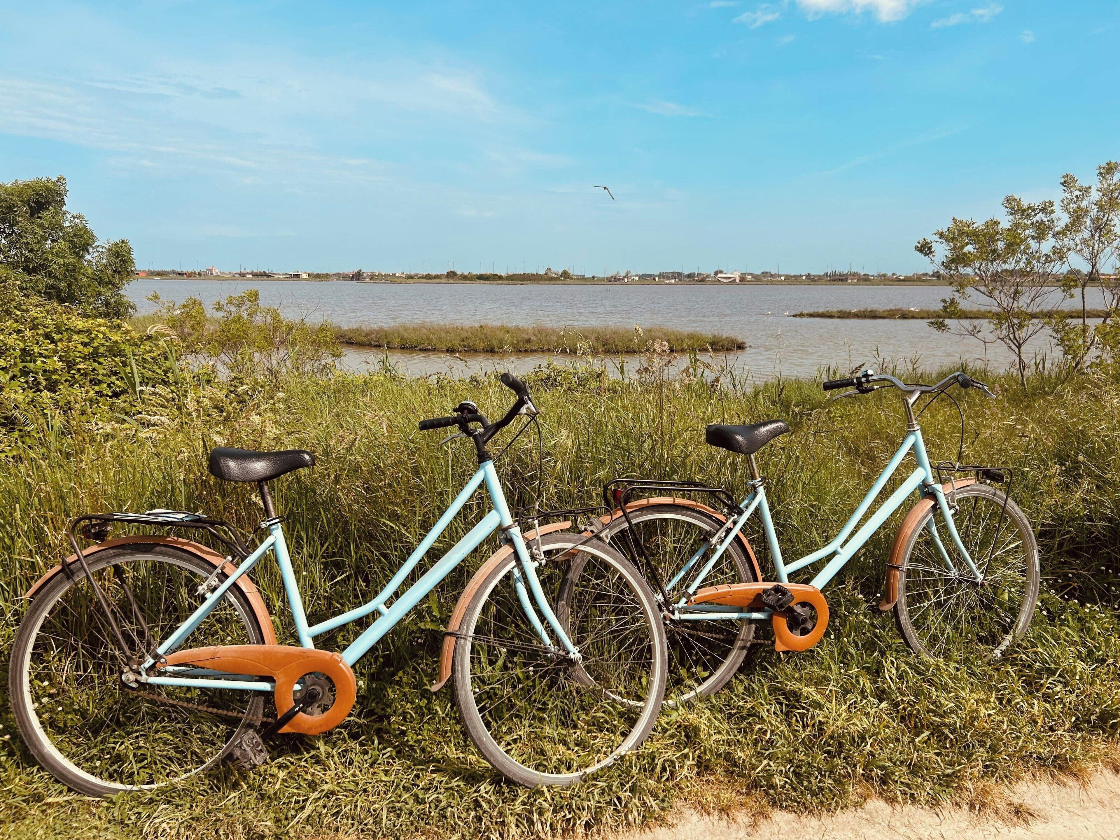 Three bicycles parked on a grassy area near a body of water.