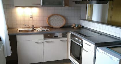 Ferienwohnung Steinwald Ausläufer