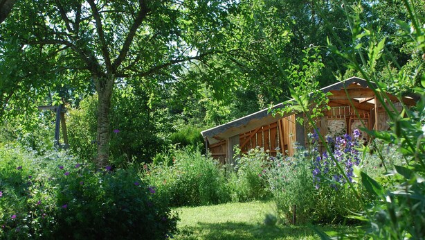 Une cabane en bois entourée d’une végétation luxuriante et de fleurs sauvages.