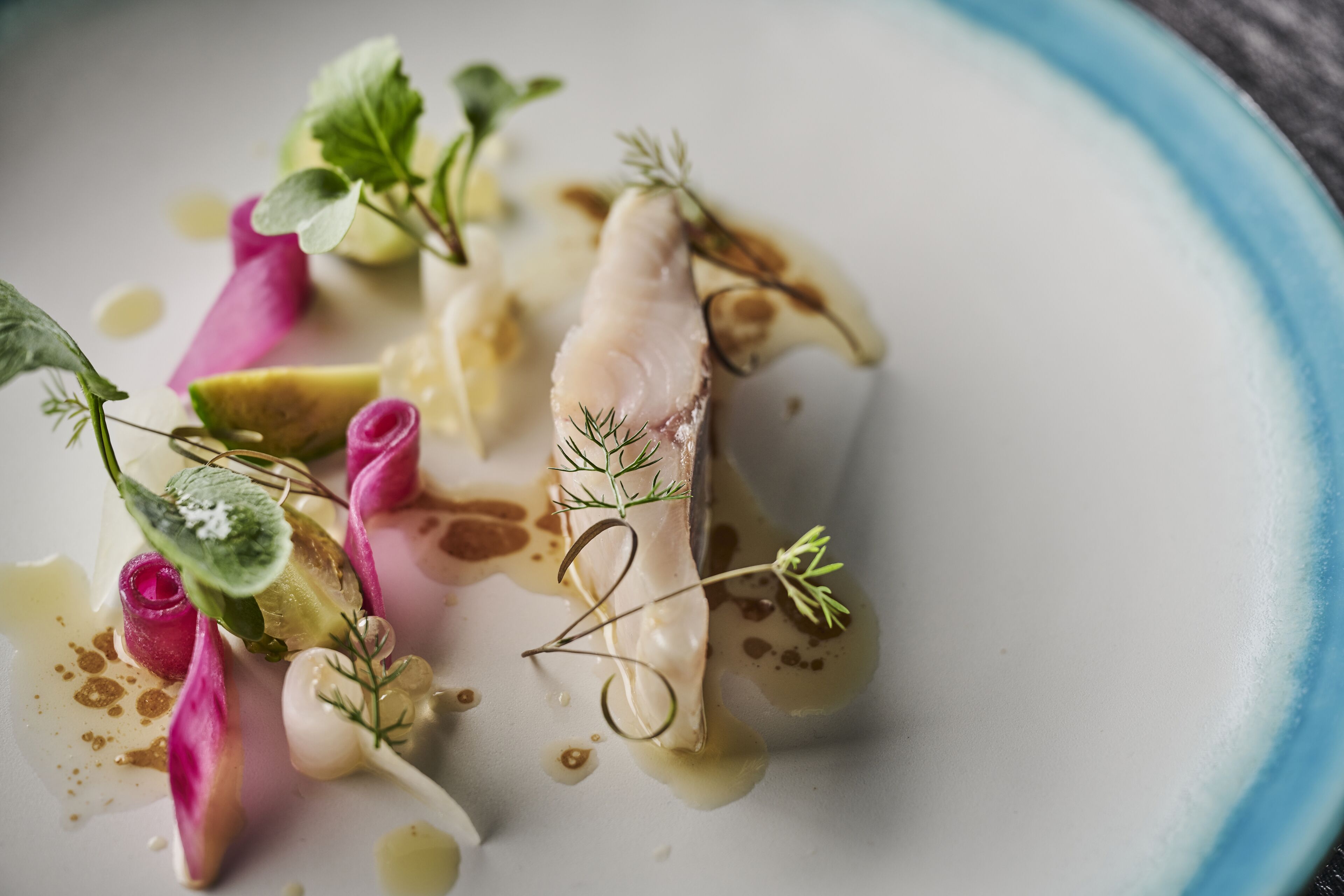 A white plate with a fish fillet, garnished with herbs and edible flowers.
