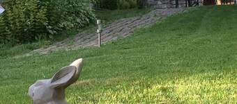 Charmante maison historique avec jardin à Vadelaincourt - Charme, cheminée, et sérénité