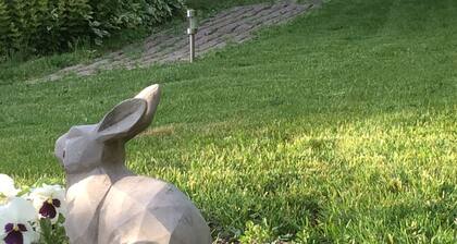 Charming Historic Village Home with Garden, Fireplace & Modern Amenities in Vadelaincourt