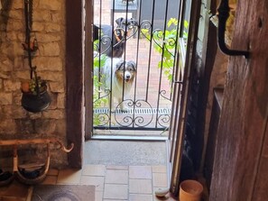 A doorway with a metal gate, a stone wall, and a potted plant on the left. - Charming Historic Village Home with Garden, Fireplace & Modern Amenities in Vadelaincourt (Vadelaincourt)
