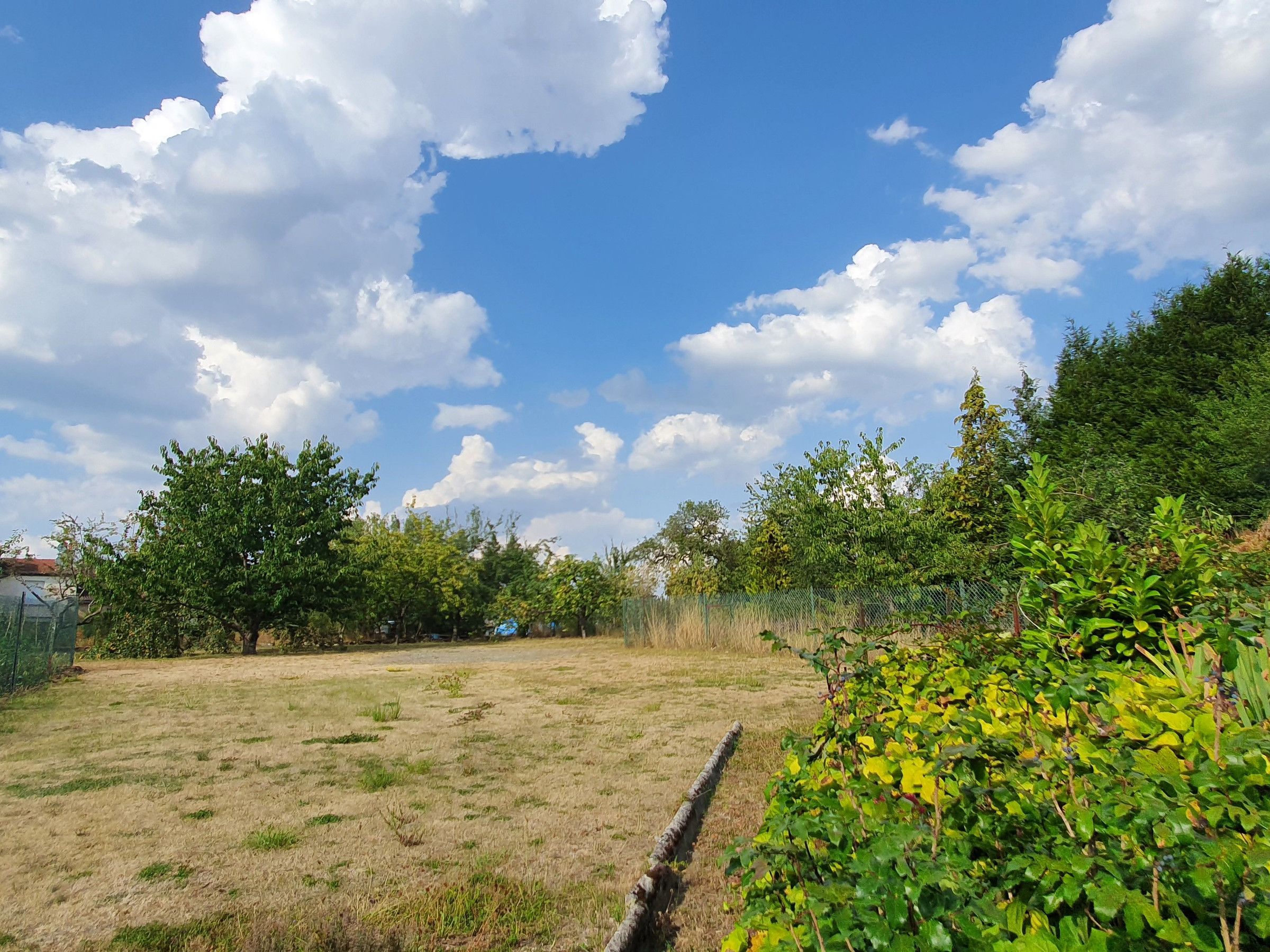 Un espace extérieur verdoyant, avec des arbres et un ciel dégagé.